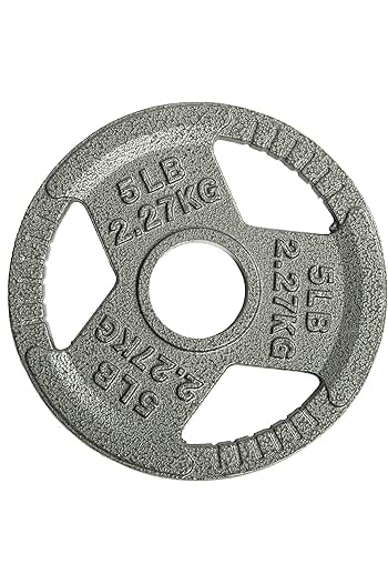 Photo 1 of ** 2/2.5lbs and 1/5lb ** Cast Iron Plate Weight Plate for Strength Training and Weightlifting,