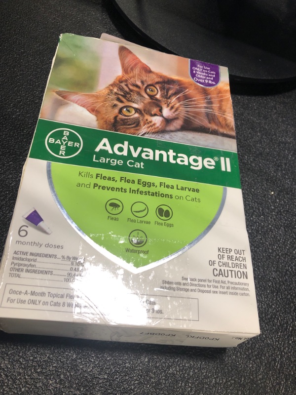 Photo 1 of Advantage II Large Cat Vet-Recommended Flea Treatment & Prevention | Cats Over 9 lbs. | 6-Month Supply 6-Pack Large Cat only