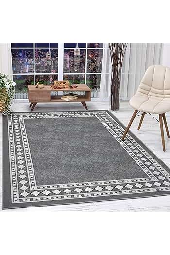 Photo 1 of Alfombras Modern Bordered 8x10 Non-Skid (Non-Slip) Low Profile Pile Rubber Backing Indoor Area Rugs (Gray, 7'10" x 10')