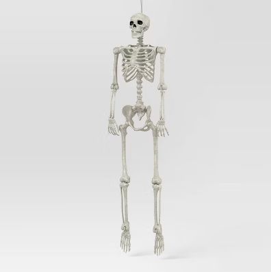 Photo 1 of 60" Poseable Bone Skeleton Halloween Decorative Prop Off-White - Hyde and EEK! Boutique™