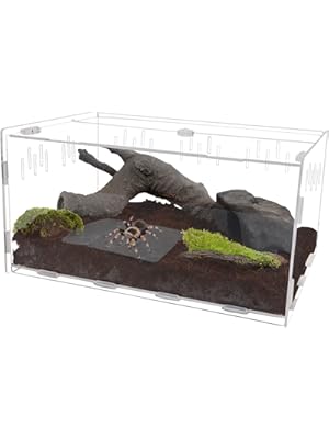 Photo 1 of winemana Reptile Terrarium, Tarantula Enclosure, 16" x 11" x 6" Acrylic Large Feeding Tarantula Habitat Box for Small Animals Insect Home Office
