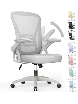 Photo 1 of naspaluro Ergonomic Office Chair, Mid Back Desk Chair with Adjustable Height, Swivel Chair with Flip-Up Arms and Lumbar Support, Breathable Mesh Computer Chair for Home/Study/Working, Grey
