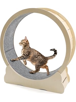 Photo 1 of Cat Wheel for Indoor Cats, Large Quiet Cat Treadmill with Detachable Carpeted Runway, 43.3” Exercise Running Wheel for Pet’s Health and Entertainment, Natural
