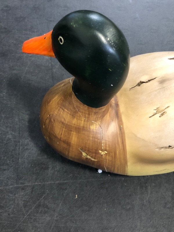 Photo 1 of Deco 79 Polystone Duck Sculpture , Set of 2 14", Beige 
