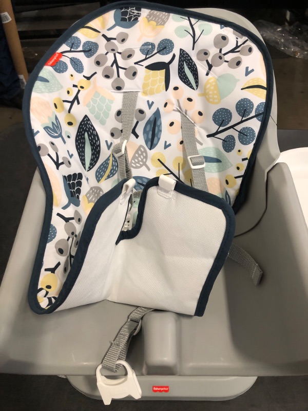 Photo 1 of Fisher-Price Baby to Toddler High Chair SpaceSaver Simple Clean Portable Dining Seat & Booster with Washable Deep Tray & Liner, Pacific Pebble