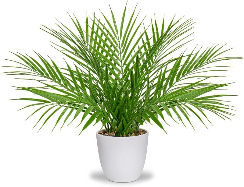 Photo 1 of Briful Fake Plant 15’’ Artificial Palm Plant in White Pot Real Touch Faux Tropical Palm Tree Houseplant for Home Indoor Living Room Tabletop Balcony Decorations