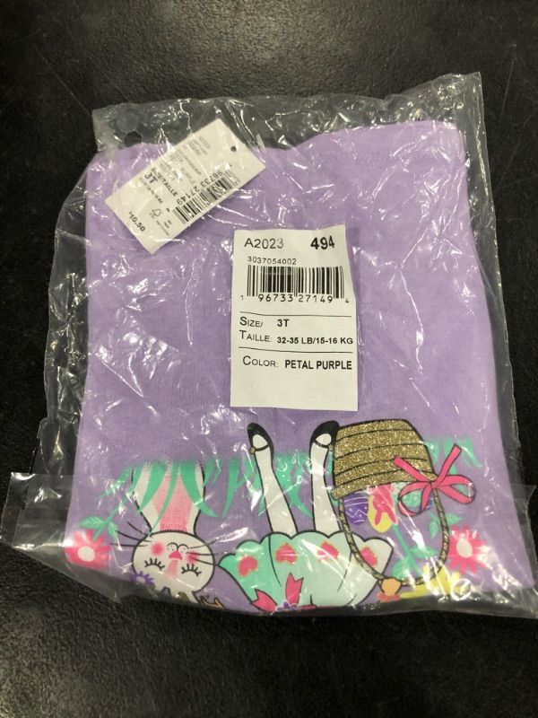 Photo 2 of The Children's Place Baby Girls' and Toddler Assorted Everyday Long Sleeve Graphic T-Shirts, Puurple Egg Hunt Squad, 3T