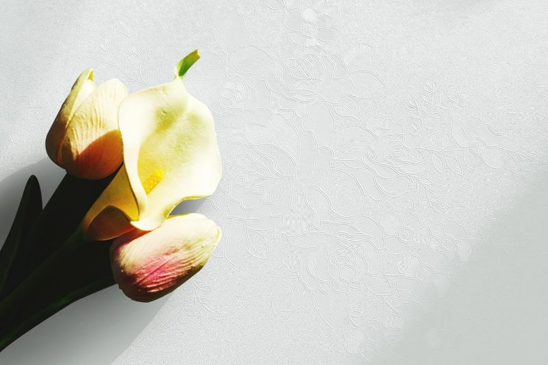 Photo 1 of Dimoon Wallpaper 78.7"x17.3" Thicken Embossed Flower White Peel and Stick Wallpaper Floral Solid Pure White Stick Peel Contact Paper Waterproof White Self Adhesive Wallpaper Removable Shelf Vinyl Roll
