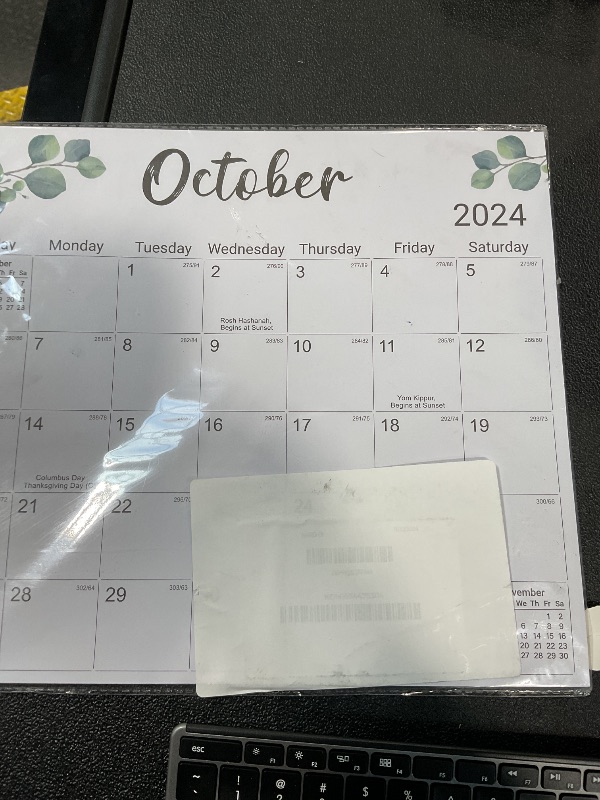 Photo 2 of Aesthetic 2025 Magnetic Calendar for Refrigerator, Fridge Calendar Magnet Runs Until June 2026, 21 Monthly Refrigerator Calendar with Greenery Design for Easy Organizing, 2025 New Edition