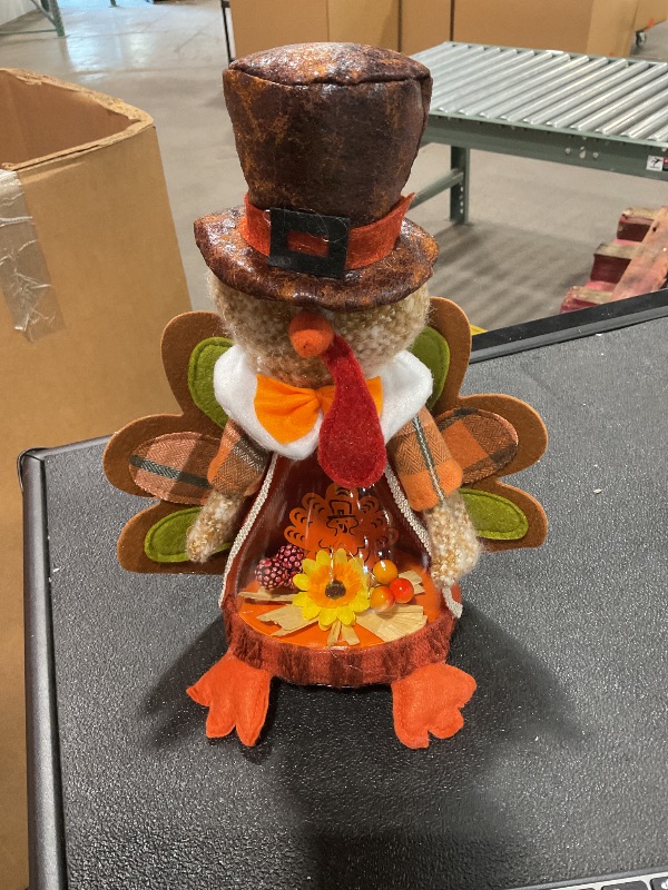 Photo 2 of Aoutrow Lighted Thanksgiving Turkey,10 Inches Plush Light Up Turkey Toy Holiday Present, Battery Operated Xmas Gifts Winter Mantle Tabletop Decor