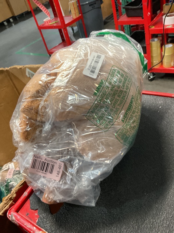 Photo 1 of Isaacalyx 5 Packs Dino Nugget Pillow Plush, Soft Dinosaur Chicken Nuggets Pillow for Birthday Gifts, Dinosaur Theme Party Decorations (5 Packs Dino)