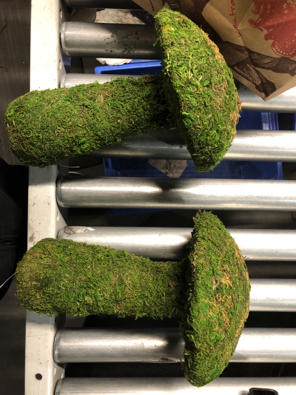 Photo 2 of *** 2 pack ** SuperMoss (55271) Deco Moss Small Mushroom, 11", Fresh Green