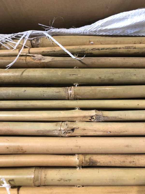 Photo 4 of ***damage in last photo*** Mininfa Natural Rolled Bamboo Fence, Eco-Friendly, 0.7 in D x 6 feet High x 8 feet Long, Bamboo Screen for Garden, Privacy