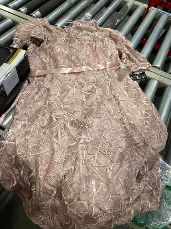 Photo 1 of Alex Evenings Women's Tea Length Embroidered Dress Illusion Sleeves (Petite Missy), Rose, 14