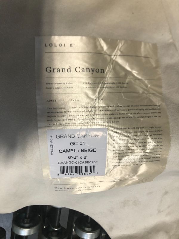 Photo 1 of ***USED***Loloi II Grand Canyon Ivory/Charcoal 6'-2" x 8' Area Rug