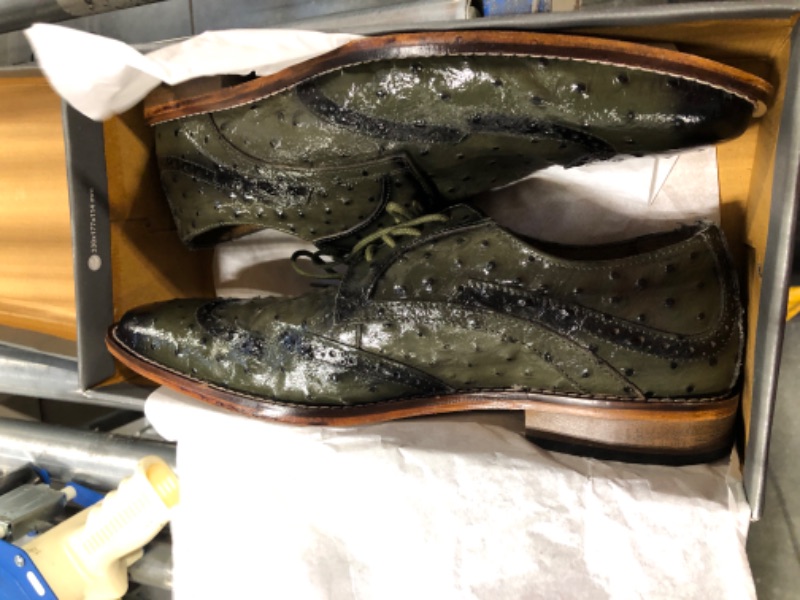 Photo 3 of **USED***Stacy Adams Men's Gennaro Wingtip Oxford, Olive, 9.5