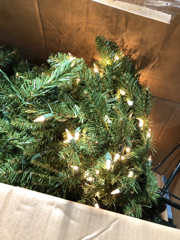 Photo 4 of 6ft National Christmas Tree Company Pre-Lit Dunhill Fir Artificial Christmas Tree with 600 Clear Lights