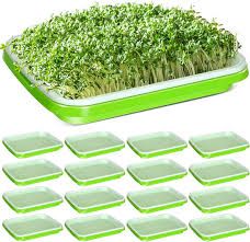 Photo 1 of 16 Pcs Seed Sprouter Tray with Drain Holes Seed Germination Propagation Trays Healthy Wheatgrass Microgreens Growing Trays Beans Nursery Sprouting Tray(12.2 x 9.06 x 1.77 Inch, without Lid)