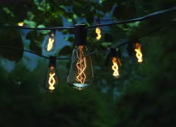 Photo 1 of 10-Light 10 ft. Outdoor/Indoor Line Voltage ST40 Vintage Bulb Incandescent String Light
