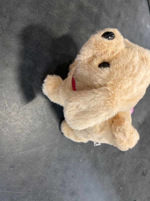 Photo 1 of Koonie Talking Plush Golden Retriever Toy Repeats What You Say, Barks and Walks - Electronic Interactive Stuffed Puppy for Kids