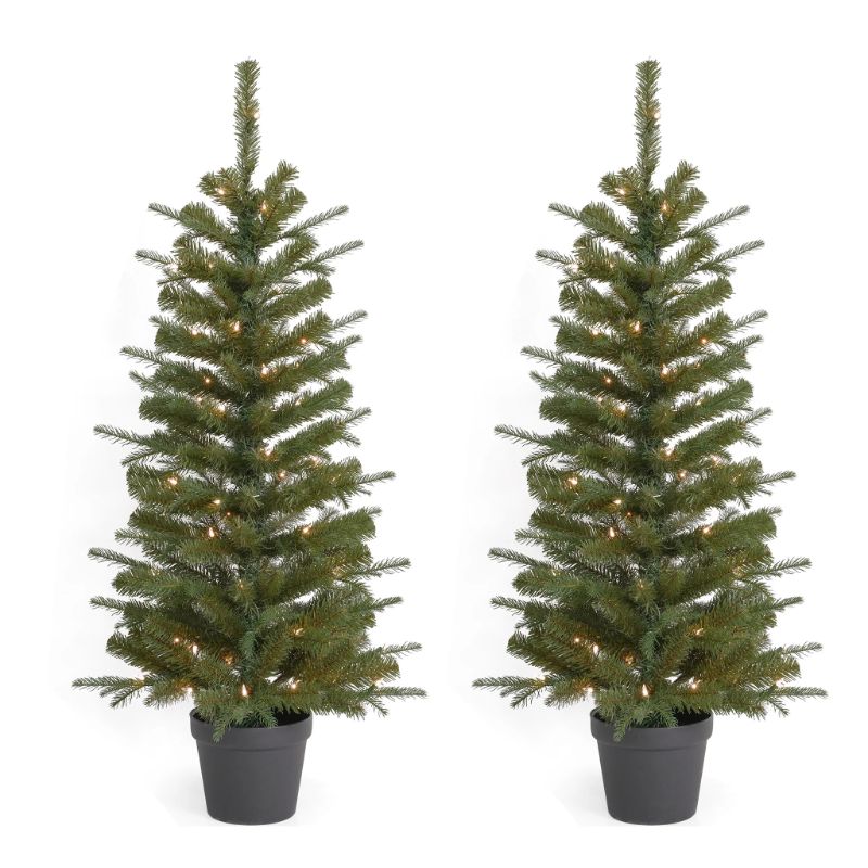 Photo 1 of 4ft Valley Pine Porch Tree (Set of 2) Each Tree is Pre-Lit with 50 UL Clear Lights by Seasonal LLC
