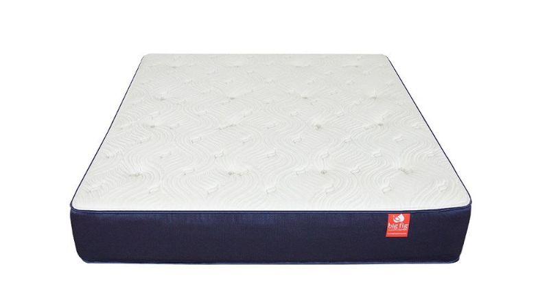 Photo 1 of Big Fig Mattress Review: For Plus-Sized Sleepers