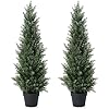 Photo 1 of 3FT Artificial Cedar Topiary Trees for Outdoors Potted Fake Cypress Trees Faux Evergreen Plants for Home Porch Decor Set of 2
