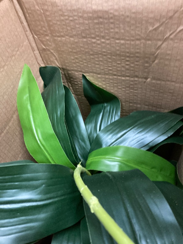 Photo 2 of 15'' Faux Philodendron Taro Plant in Pot
