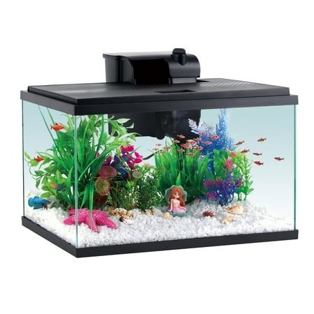 Photo 1 of Aqua Culture 5G Glass Aquarium Starter Kit