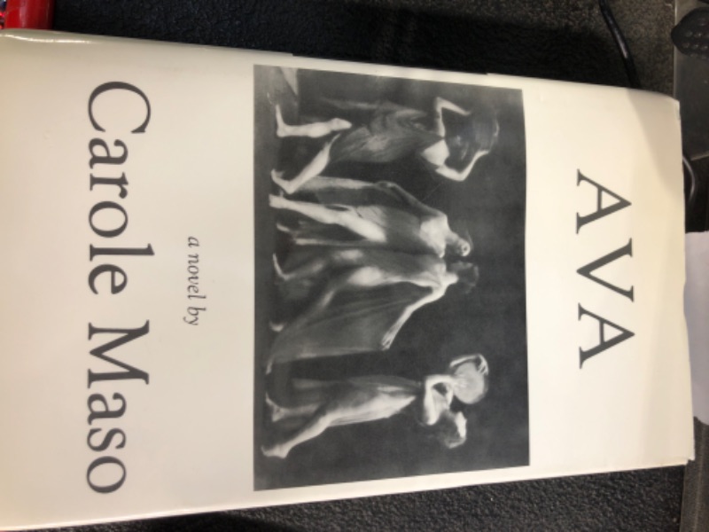 Photo 2 of Ava Hardcover – March 1, 1993
by Carole Maso (Author)