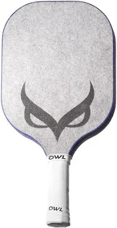 Photo 1 of The Owl CX Pickleball Paddle