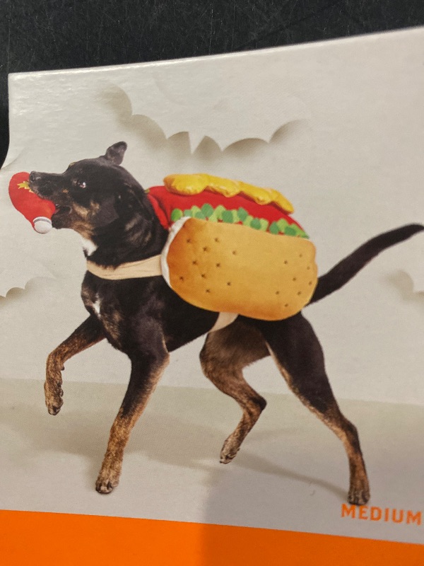 Photo 1 of Halloween hot dog costume 