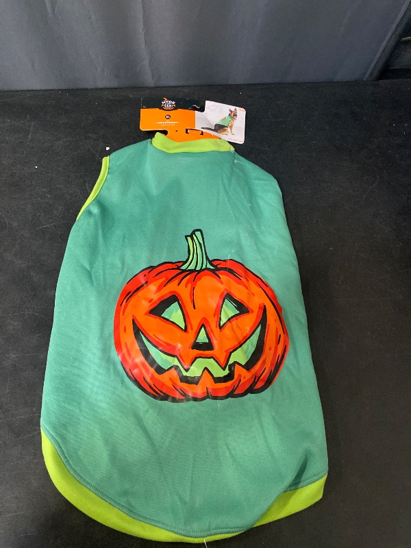 Photo 1 of dog pumpkin costume. size XL 