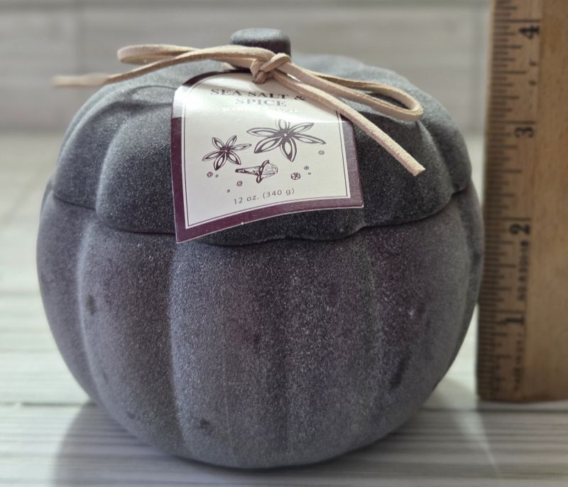 Photo 1 of Pumpkin Jar Scented Candle 12oz Sea Salt Spice Two Wick Glass Long Lasting Purpl