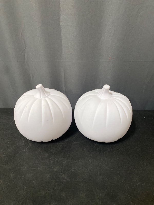 Photo 1 of 2 white pumpkin decor 