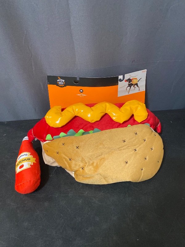 Photo 1 of hot dog Halloween costume  