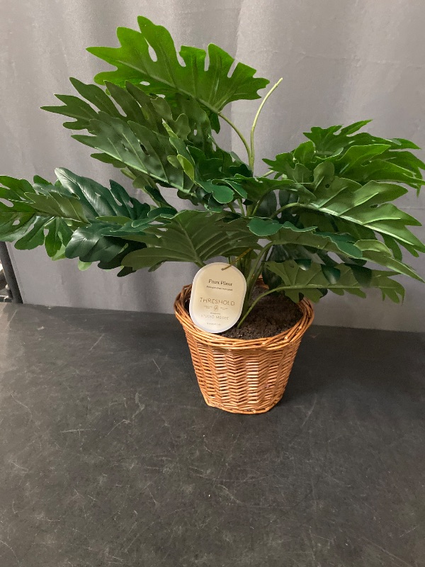 Photo 1 of Philodendron Decorative Plant in Basket - Threshold™ Designed with Studio McGee: Indoor Faux Greenery, Wicker Basket