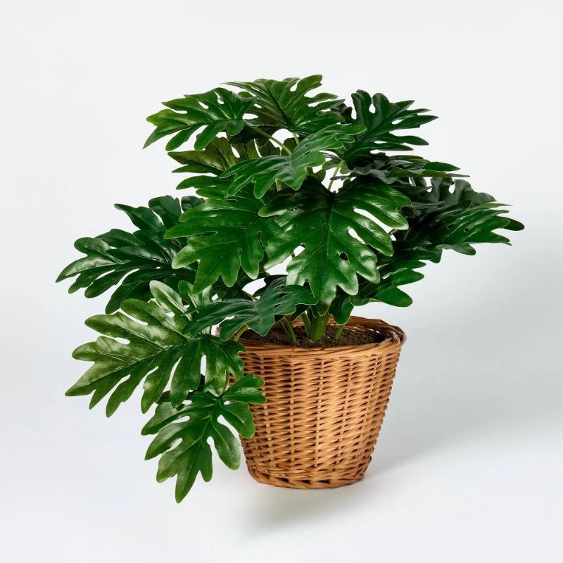 Photo 1 of Philodendron Decorative Plant in Basket - Threshold™ Designed with Studio McGee: Indoor Faux Greenery, Wicker Basket