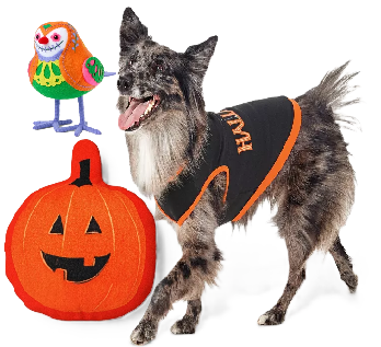 Photo 1 of 3 Item Seasonal & Party Supplies Bundle | 1 Dog Costume, 1 Pet Toy, 1 Home Decor
