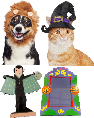 Photo 1 of 4 Item Seasonal & Party Supplies Bundle | 2 Pet Outfits, 2 Home Decor