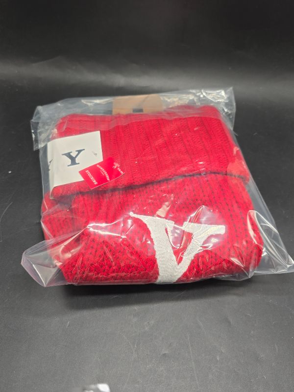 Photo 1 of Knit Monogram Christmas Stocking Red Y - Wondershop 20"