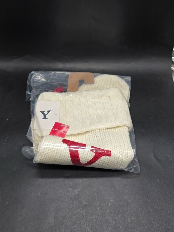 Photo 1 of Knit Monogram Christmas Stocking White Y - Wondershop 20"