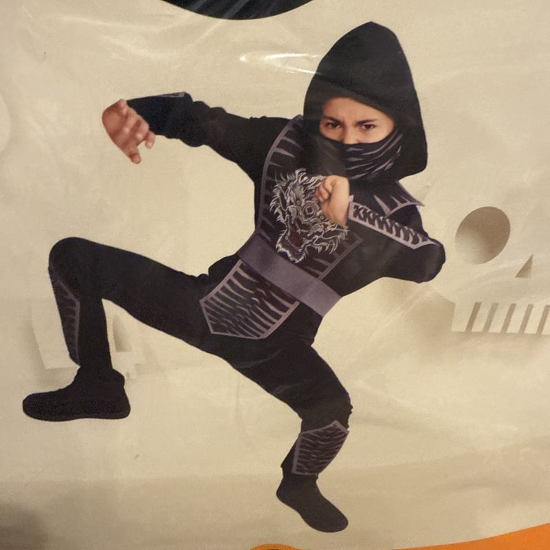 Photo 1 of  small size Hyde And Eek Boutique Kids’ Tiger Warrior Ninja Halloween