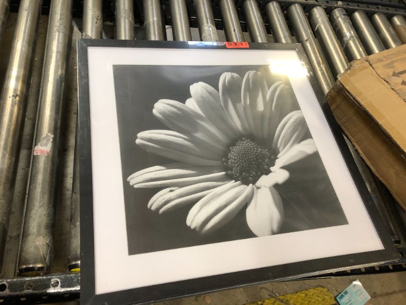 Photo 1 of 20x20inch picture frame
