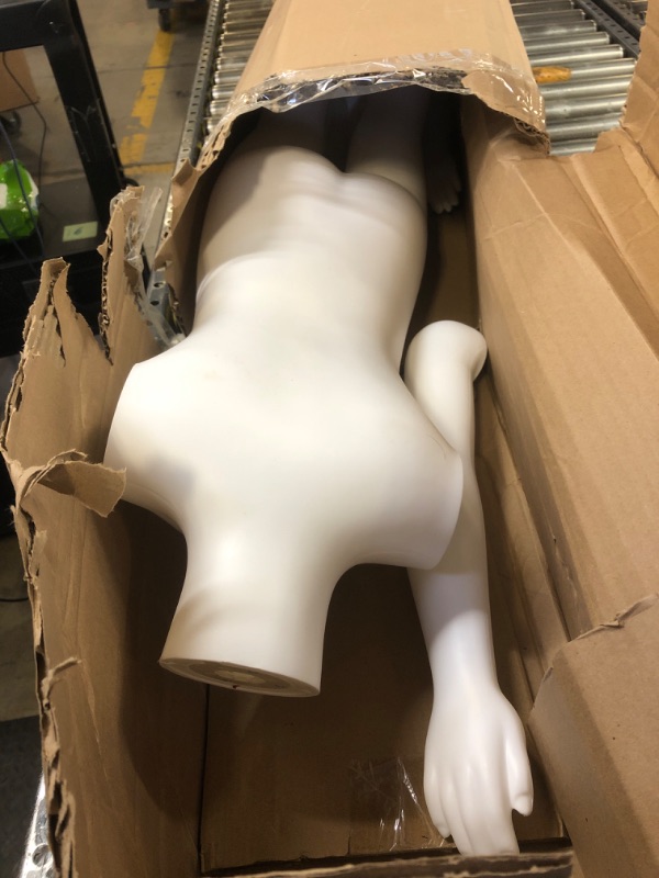 Photo 2 of CHILD MANNEQUIN BODY 