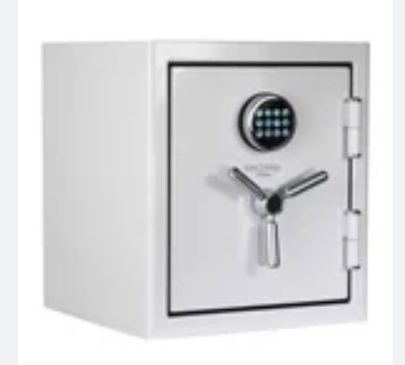 Photo 1 of Sanctuary Reserve Home and Office Safe with Electronic Lock