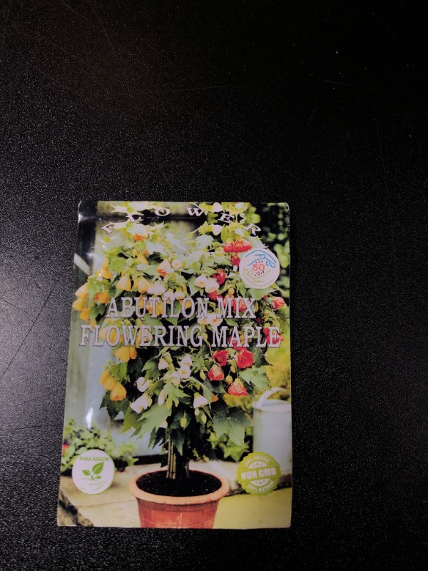 Photo 1 of Flowering Maple Mix Abutilon Grow Indoor for Planting GMO Free (50 Seeds in Pack)