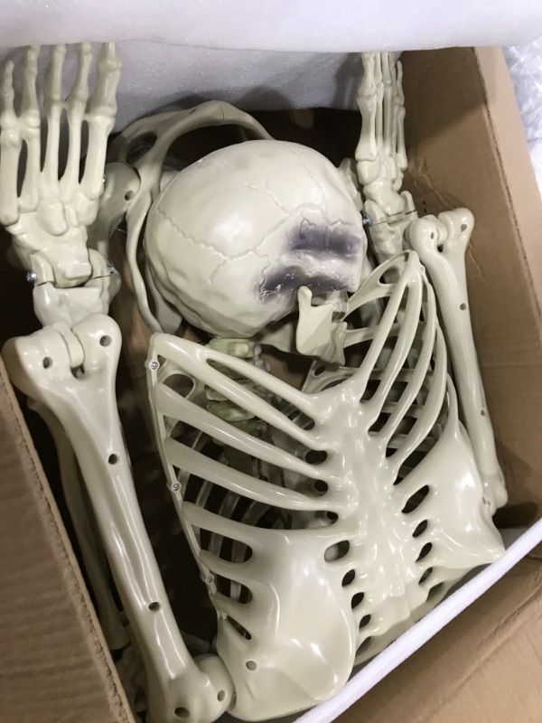 Photo 2 of breesky 5.4 ft Halloween Life Size Skeleton, Full Body Realistic Human Bones with Flexible Joints, Skeleton for Halloween Full Size