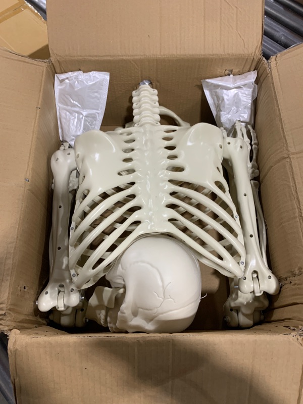 Photo 1 of 5.5Ft Halloween Skeleton Life Size - Full Body Realistic Human Bones with Posable Joints, Halloween Full Size Skeletons Decoration, Indoor/Outdoor Decor Props Party Supplies for Garden (5.5 FT)