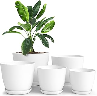 Photo 1 of ***STOCK PHOTO REFERENCE ONLY*** plastic plant pots 